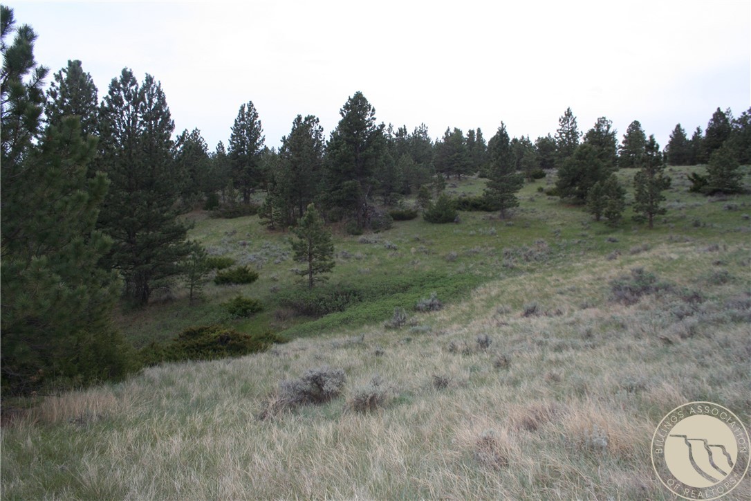 Lot 71 North Harrier Rd.