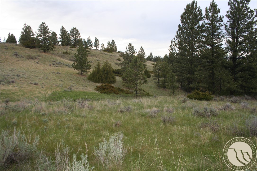 Lot 71 North Harrier Rd.