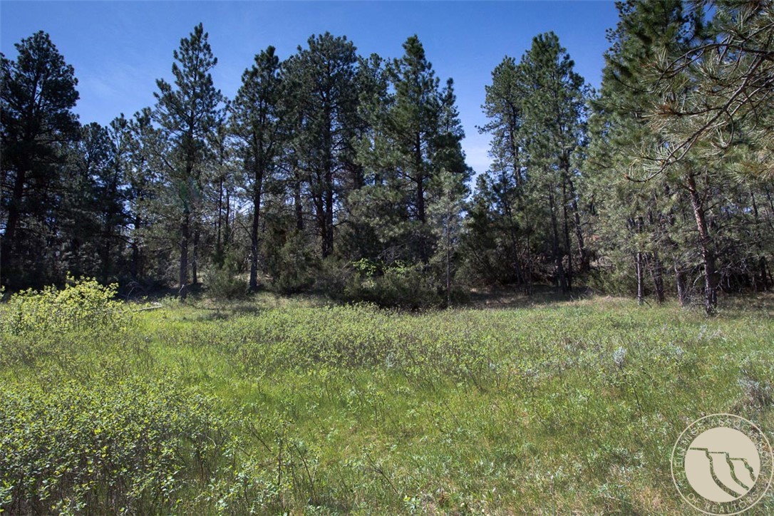 Lot 2 Shane Ridge Road