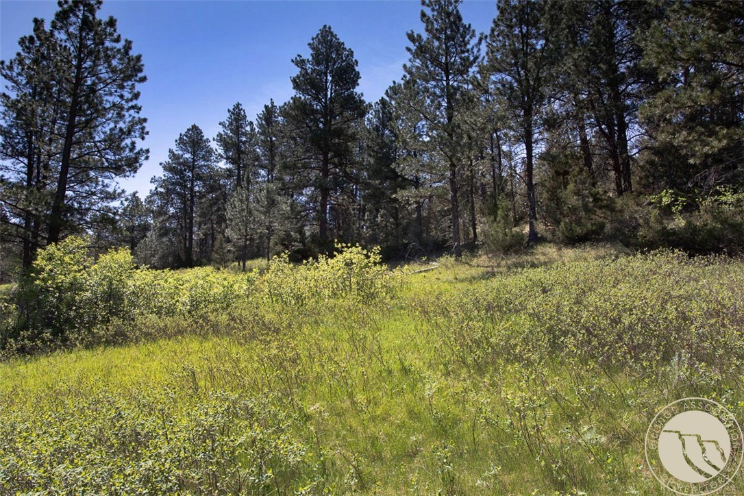 Lot 2 Shane Ridge Road