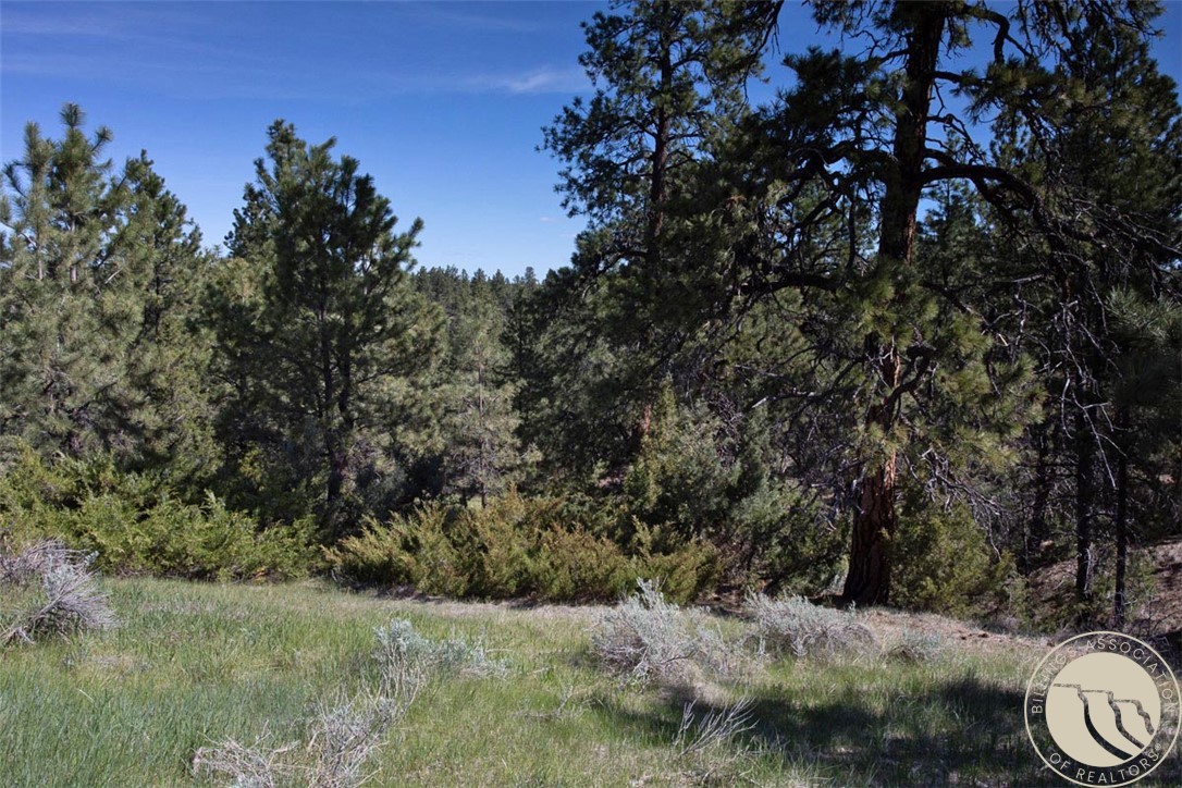 Lot 2 Shane Ridge Road