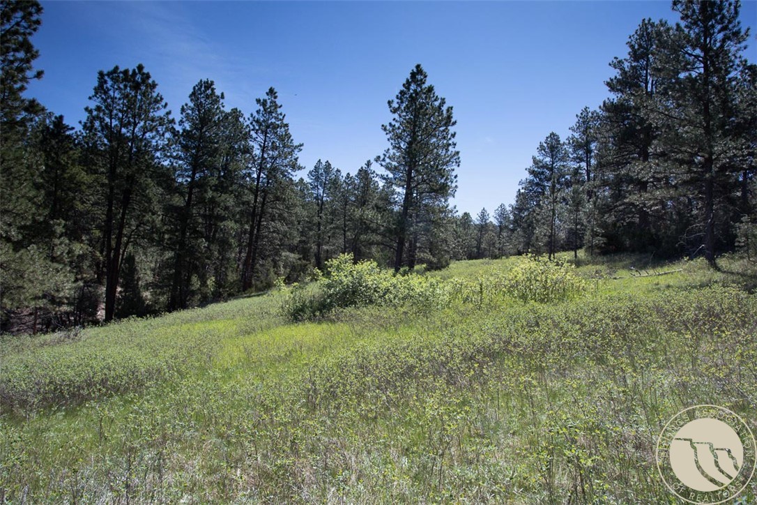 Lot 2 Shane Ridge Road