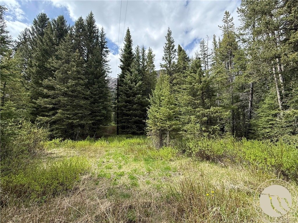 Photo of C 10 Basting Tracts Ln, Cooke City, MT 59020 (MLS # 351205)