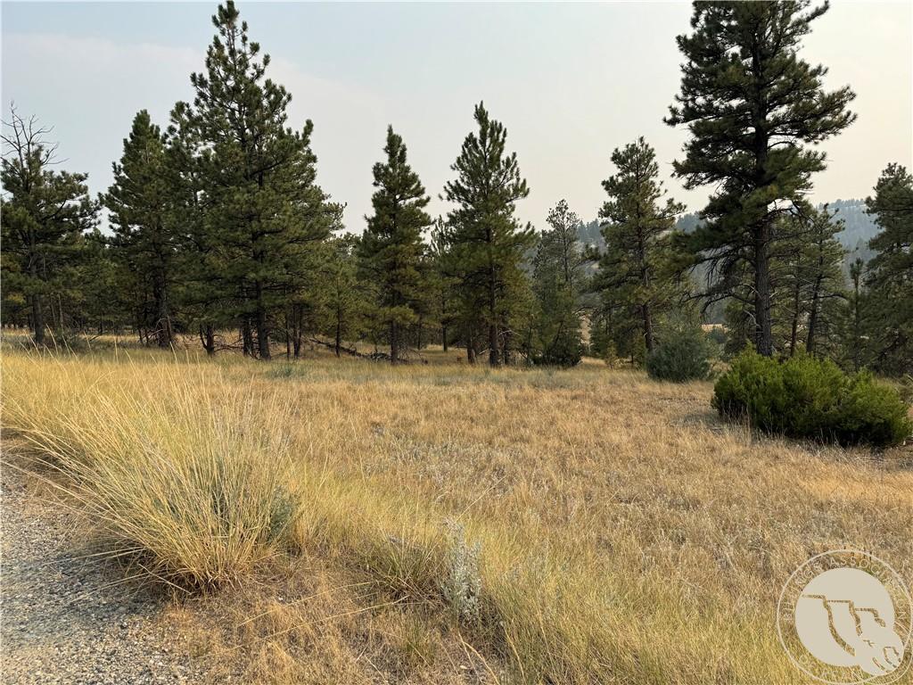 TBD TBD Antelope Drive