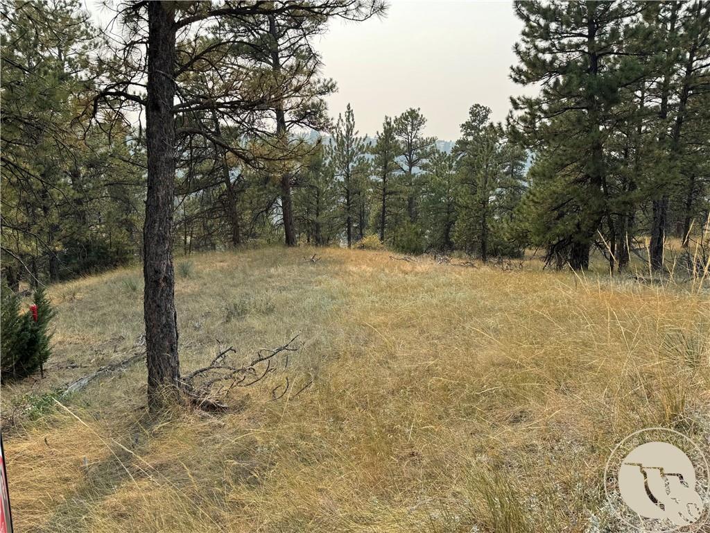 TBD TBD Antelope Drive