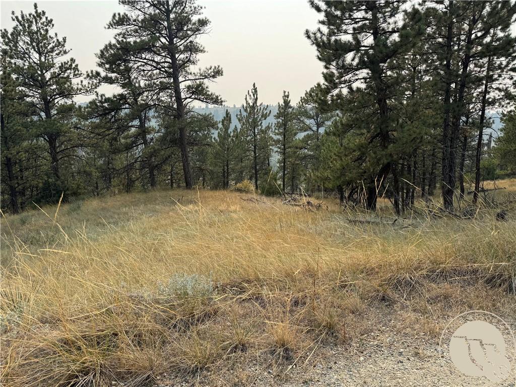 TBD TBD Antelope Drive