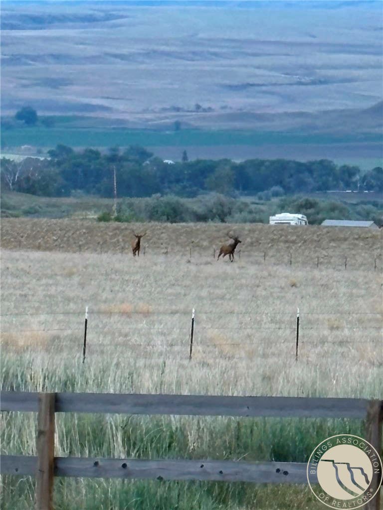 Photo of 540 Joliet Fromberg Road, Fromberg, MT 59029 (MLS # 360726)