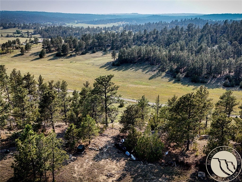 2 Quail Trail