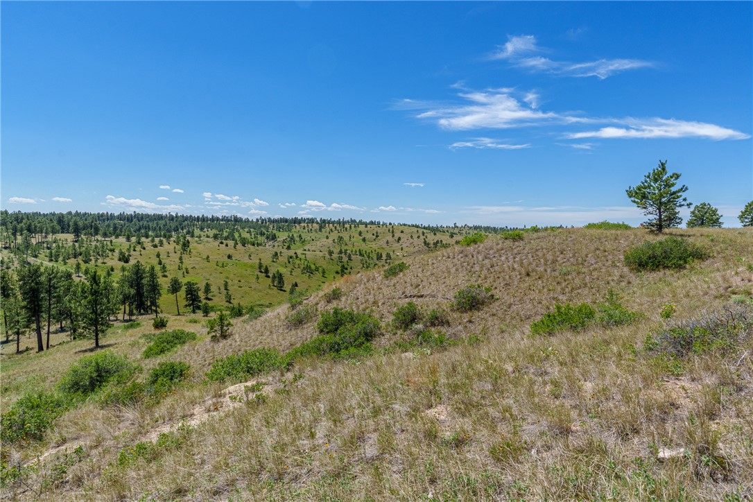 16 Grassland Way