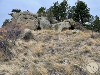 TBD Tumbleweed Drive