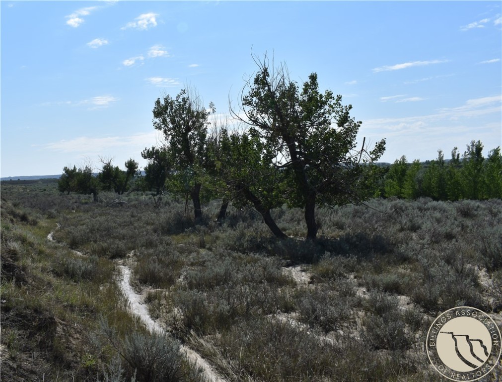Rural Highway 253