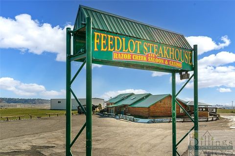 5625 SCANDIA Road Shepherd MT 59079