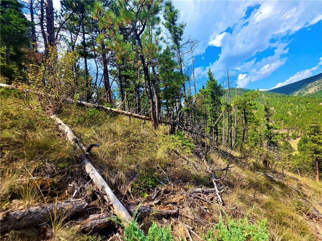 2855 Allen Gulch Road