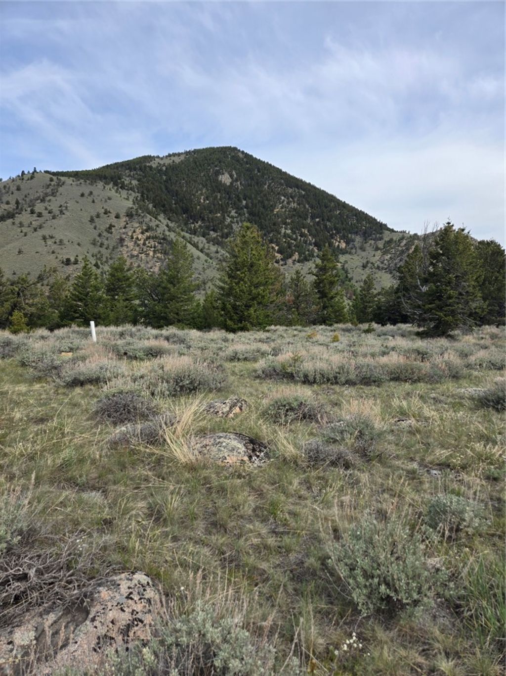 Photo of 24 Bear Dance Trail, Red Lodge, MT 59068 (MLS # 359617)