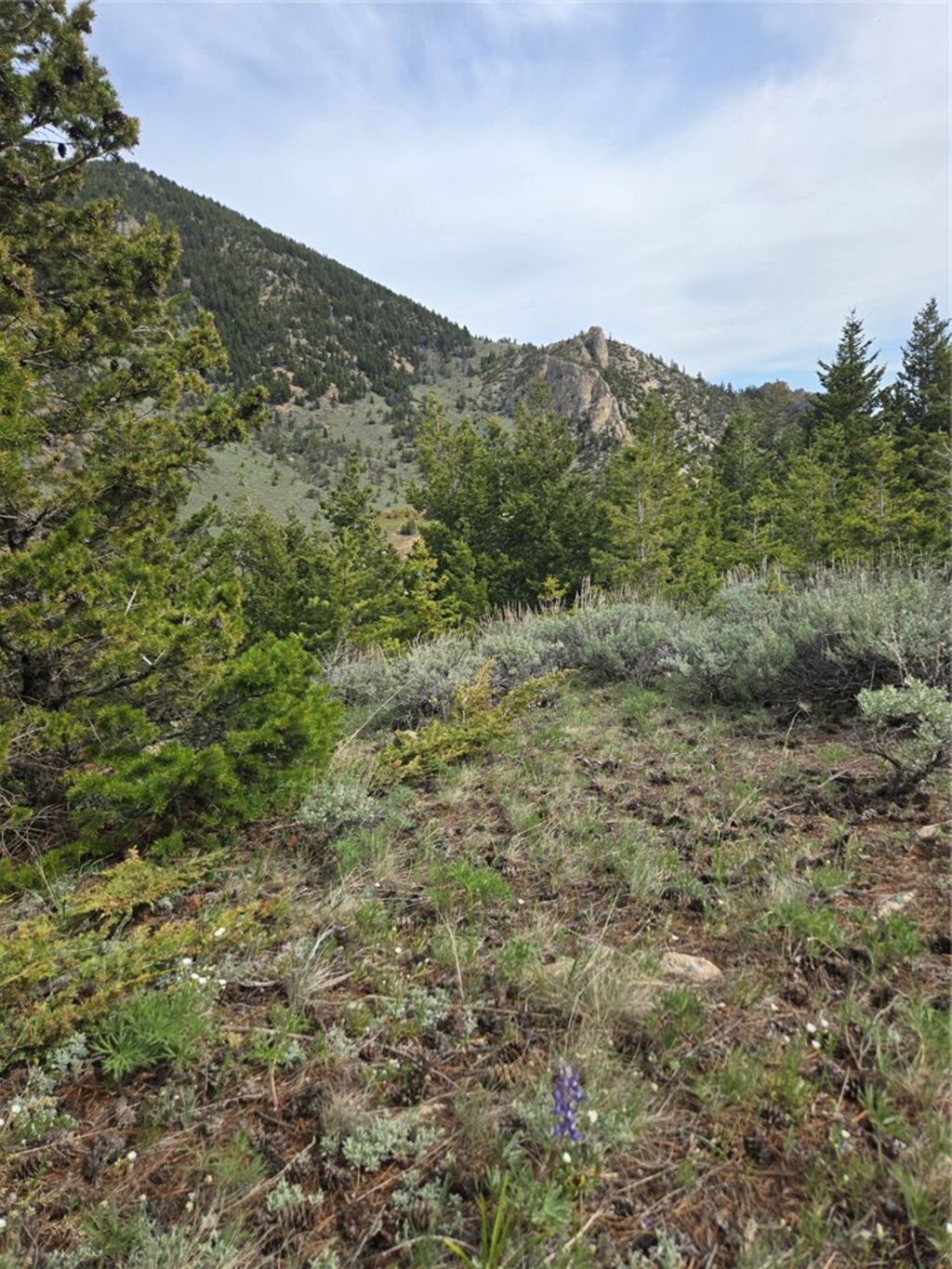 Photo of 24 Bear Dance Trail, Red Lodge, MT 59068 (MLS # 359617)