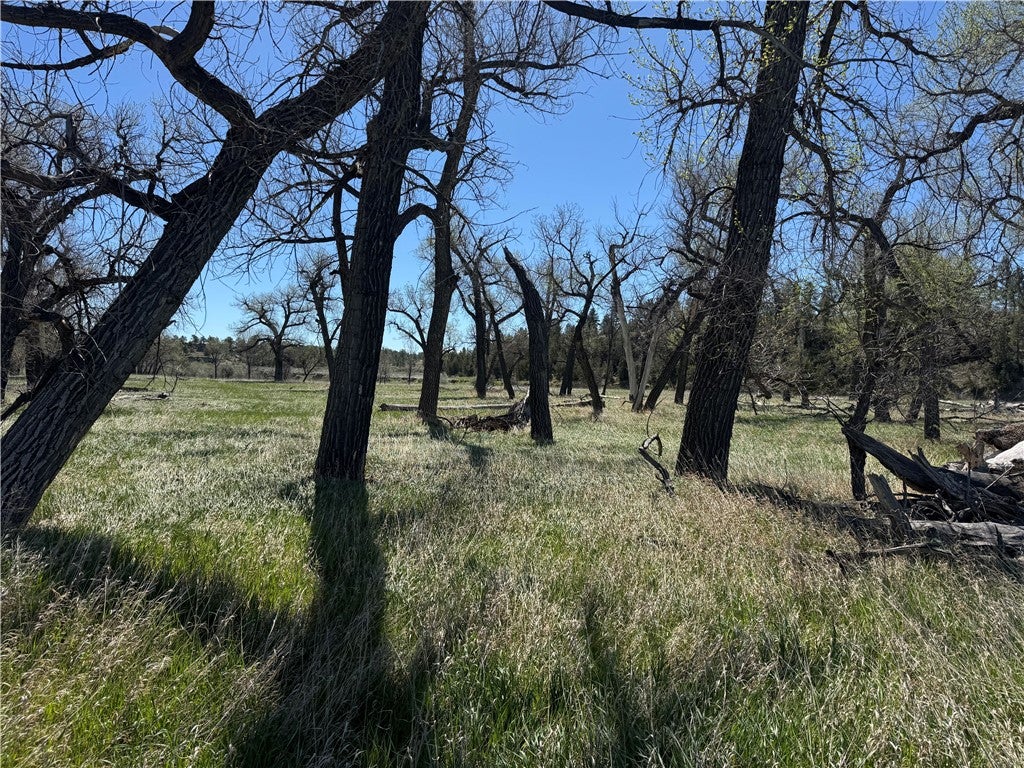 MLS: 359572
