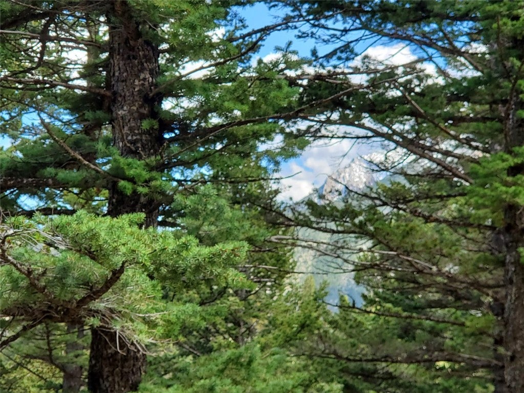 Lot 116 Forest Trail
