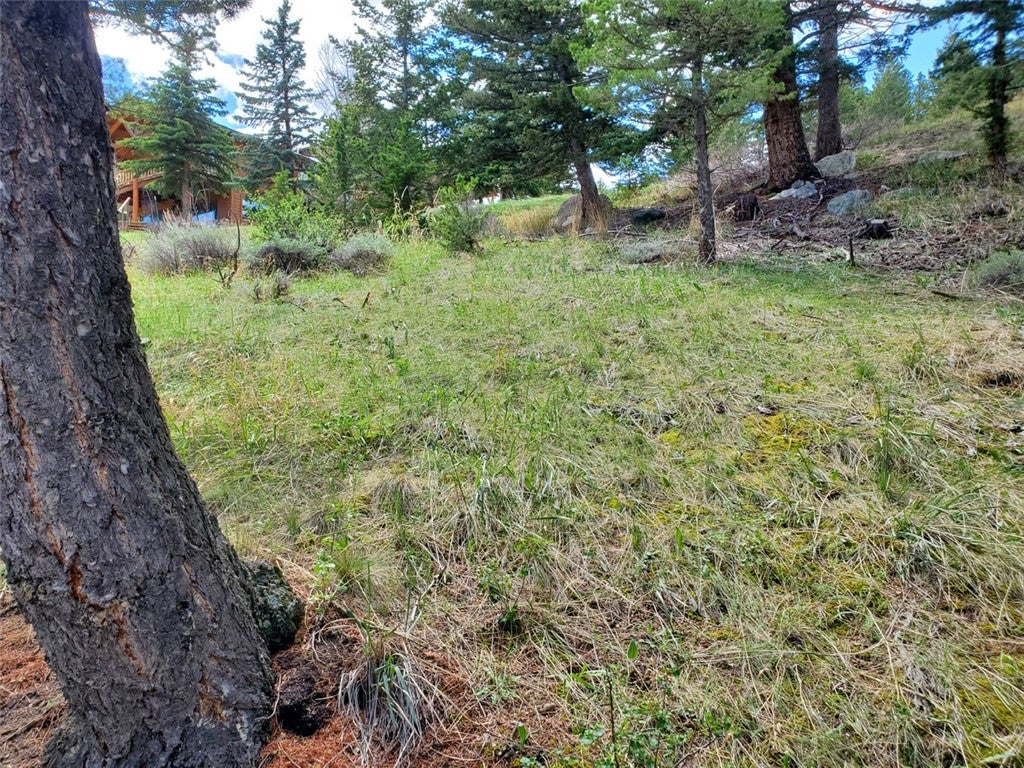 Lot 116 Forest Trail
