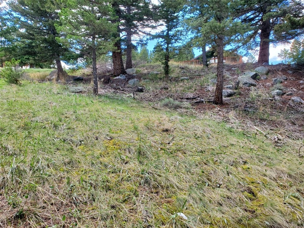 Lot 116 Forest Trail
