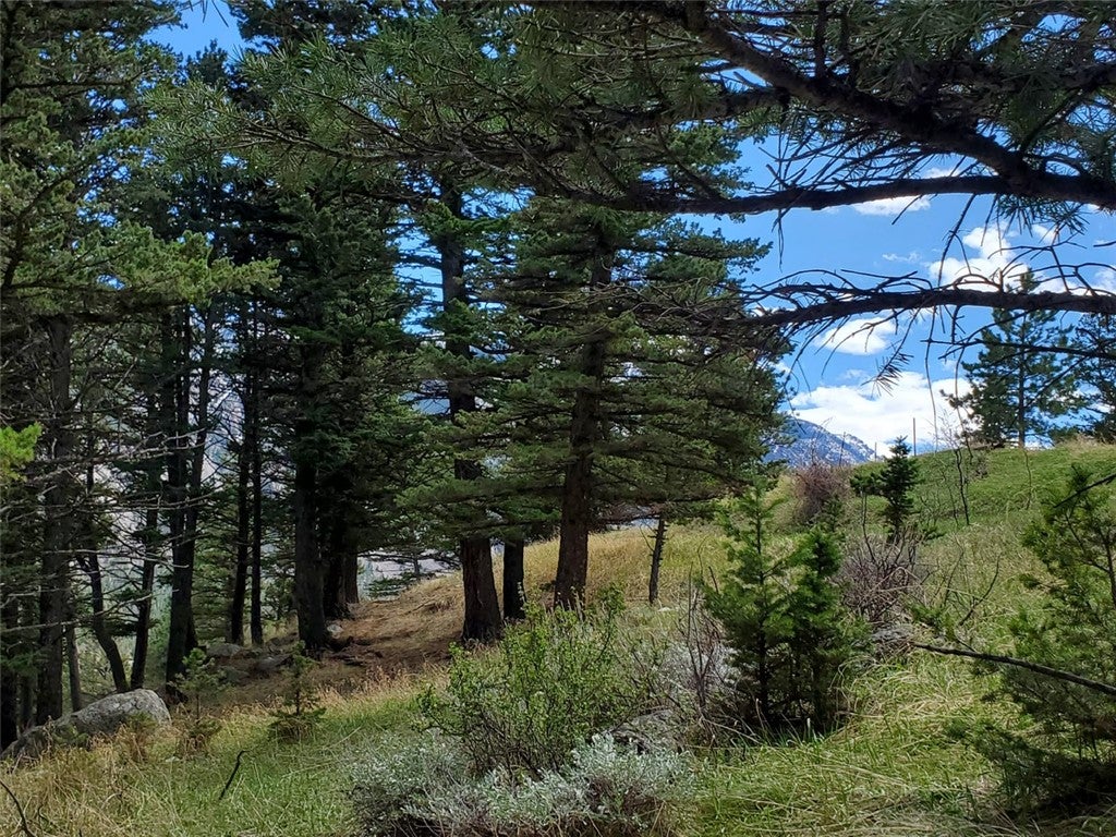 Lot 116 Forest Trail