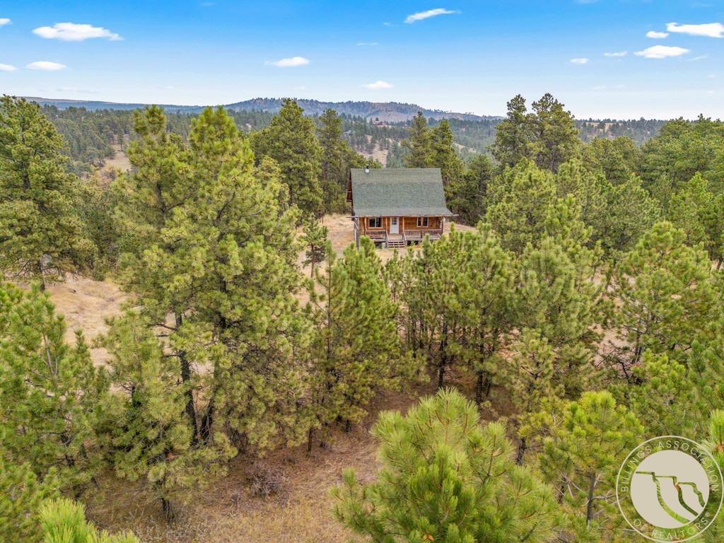 22 Crazy Mountain Vista