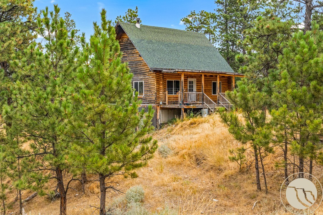 22 Crazy Mountain Vista