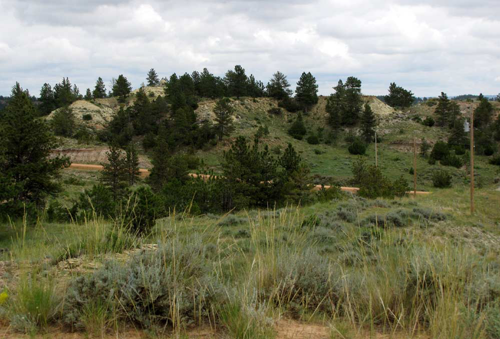 3808 Moon Creek Road