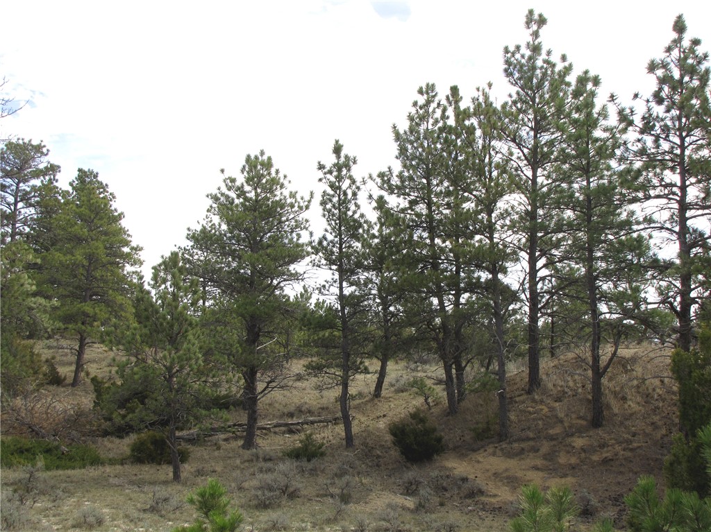 3808 Moon Creek Road