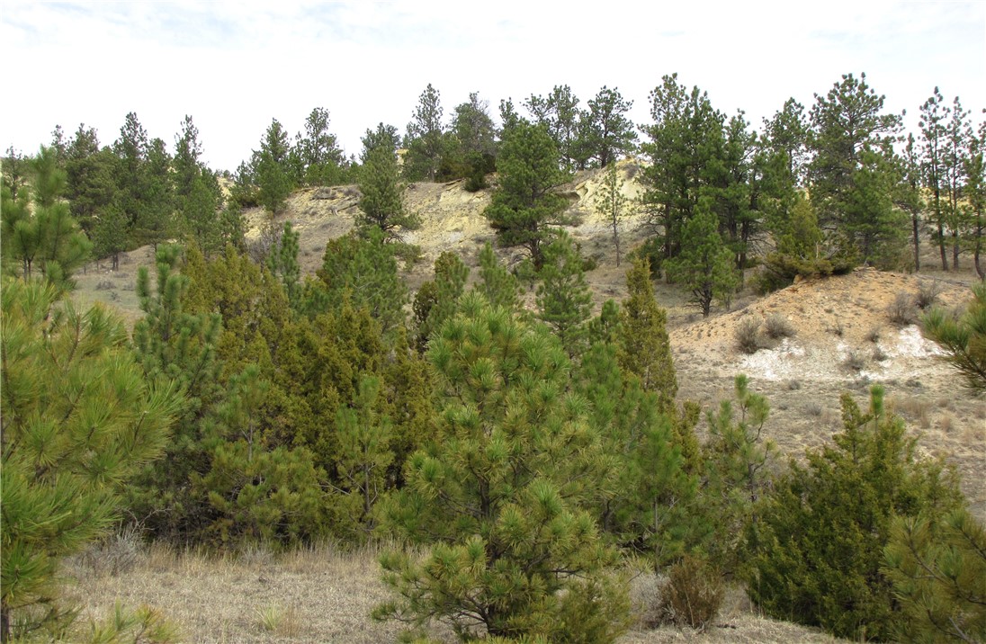 3808 Moon Creek Road