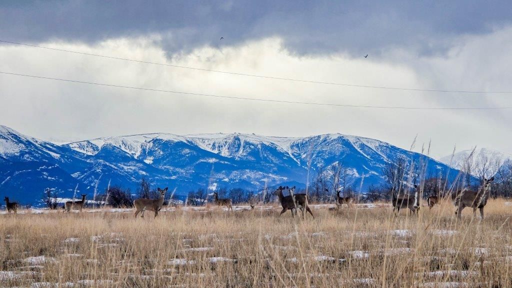 Photo of 17 Horseshoe Trail, Roberts, MT 59070 (MLS # 357970)