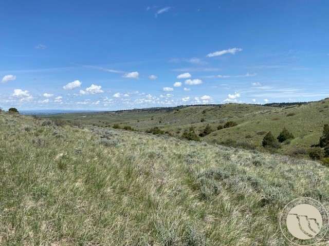 40.445 Acres Sage Wood Rd