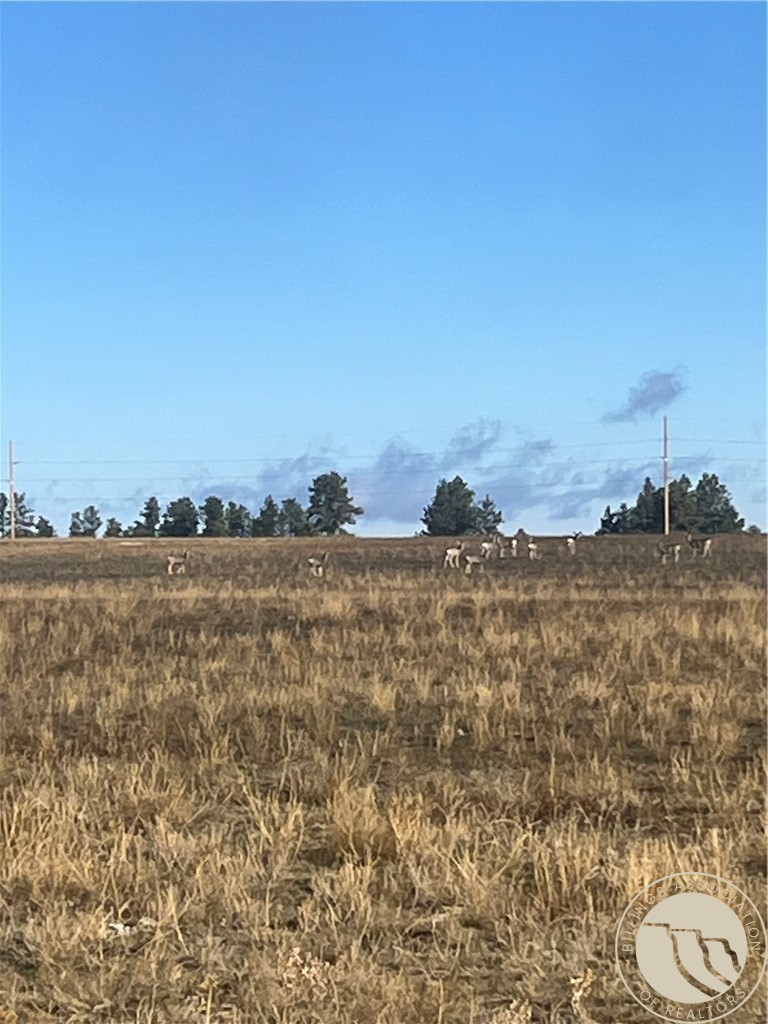 647 Majerus - Lot 1 Road