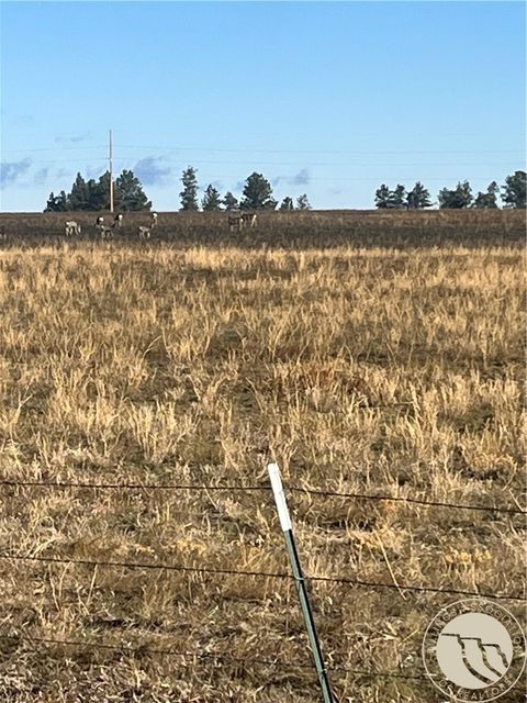 647 Majerus - Lot 1 Road Roundup MT 59072