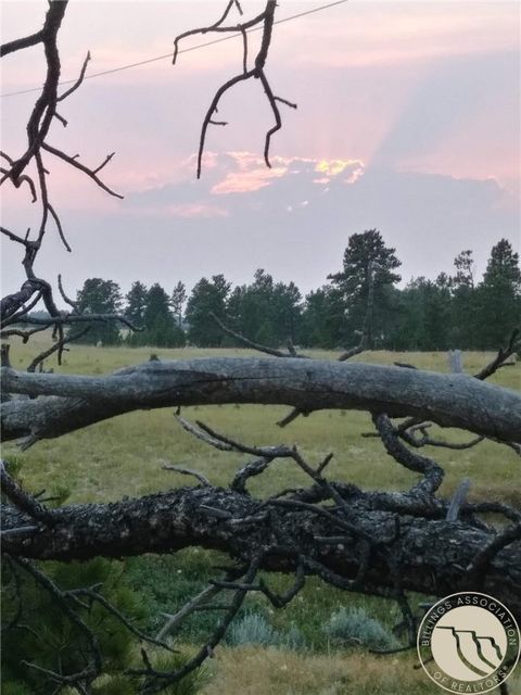 647 Majerus Road Roundup MT 59072