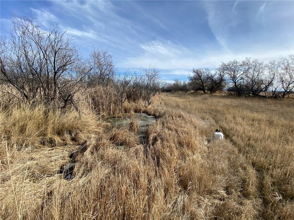 Lot 6B-1 Olive Branch Way