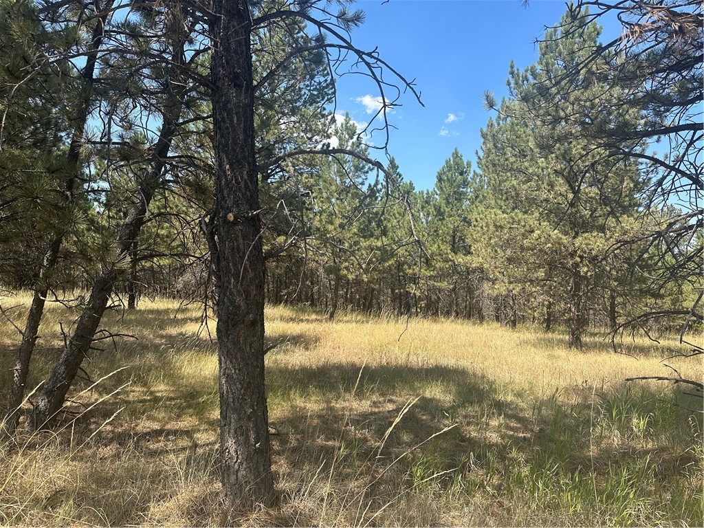 197 Roland Road