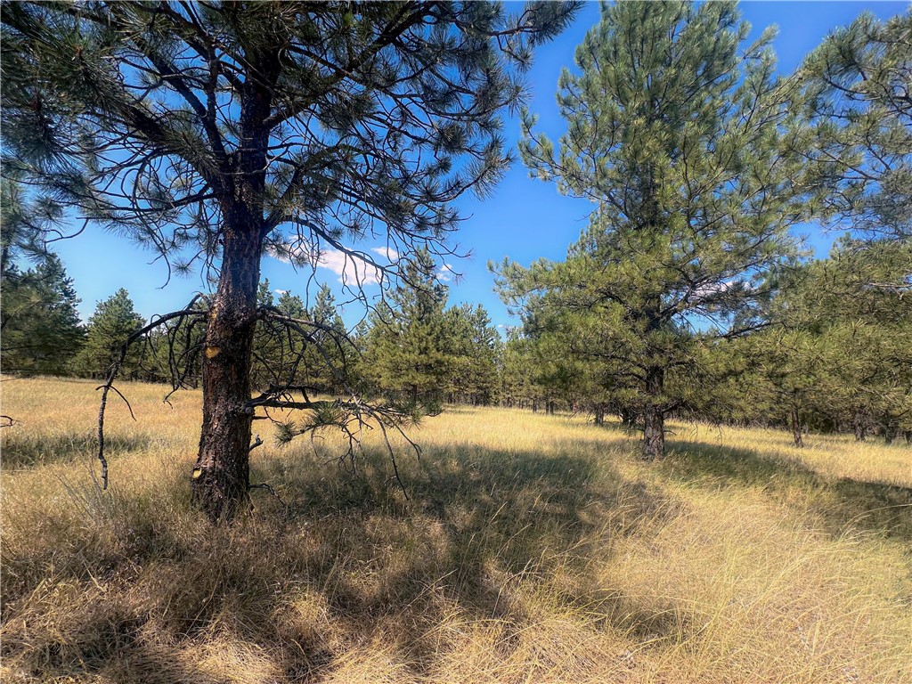 197 Roland Road