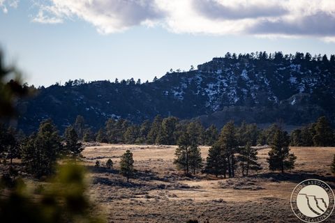 1234 Border Rd Shepherd MT 59079