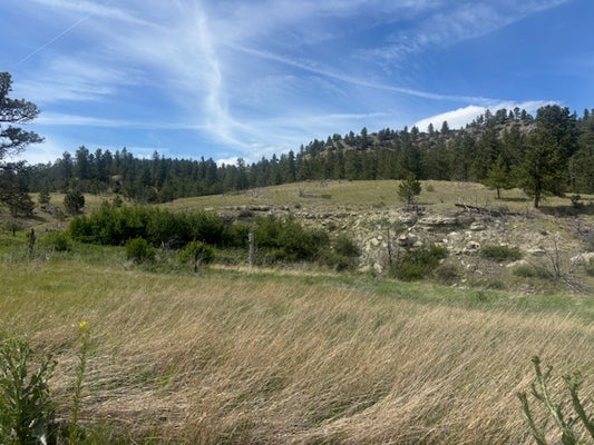 147 HAYSTACK COULEE RD, REED POINT, MT 59069 - Image 258dbe8ff60dc1d60acd55ccdcf6ecc2/3633791789