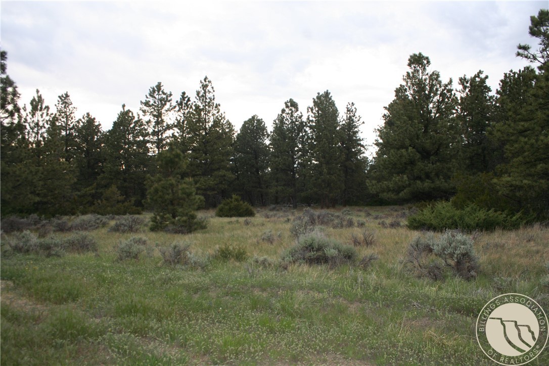 Lot 69 Jacobs Hill Rd.