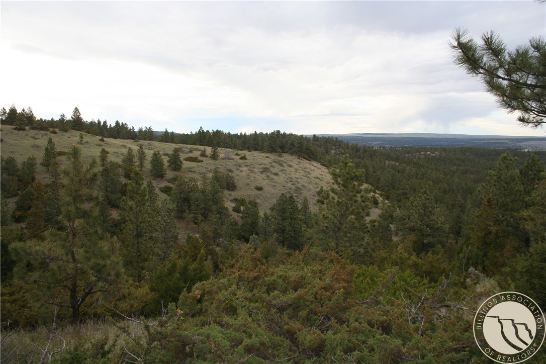 Lot 69 Jacobs Hill Rd.