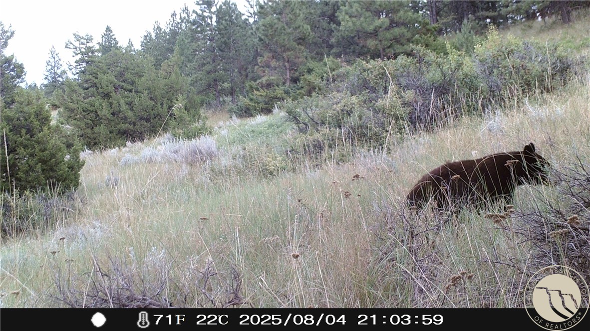 Lot 69 Jacobs Hill Rd.