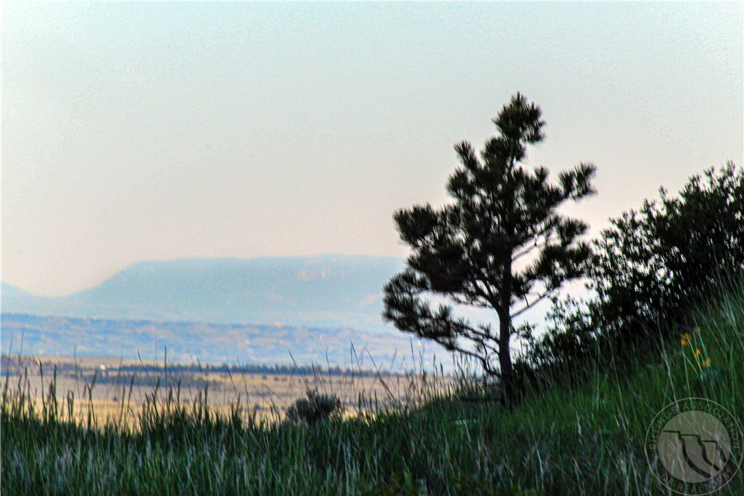 Lot 23 HWY 87