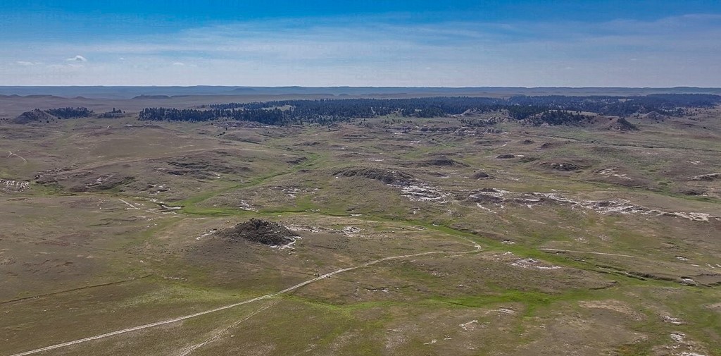 480 Spring Creek Road