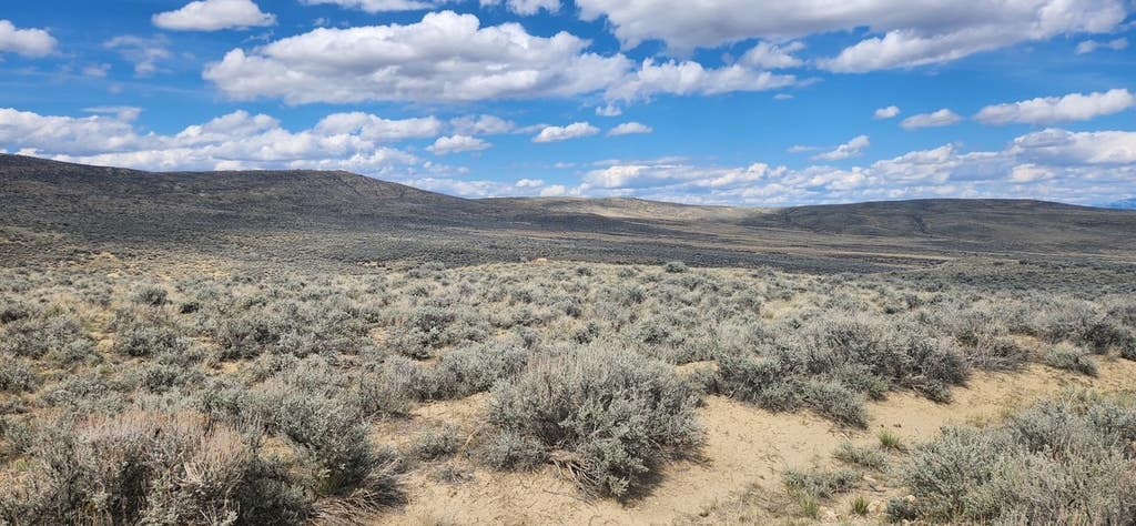 Photo of TBD Delargo Lane, Belfry, MT 59008 (MLS # 359554)