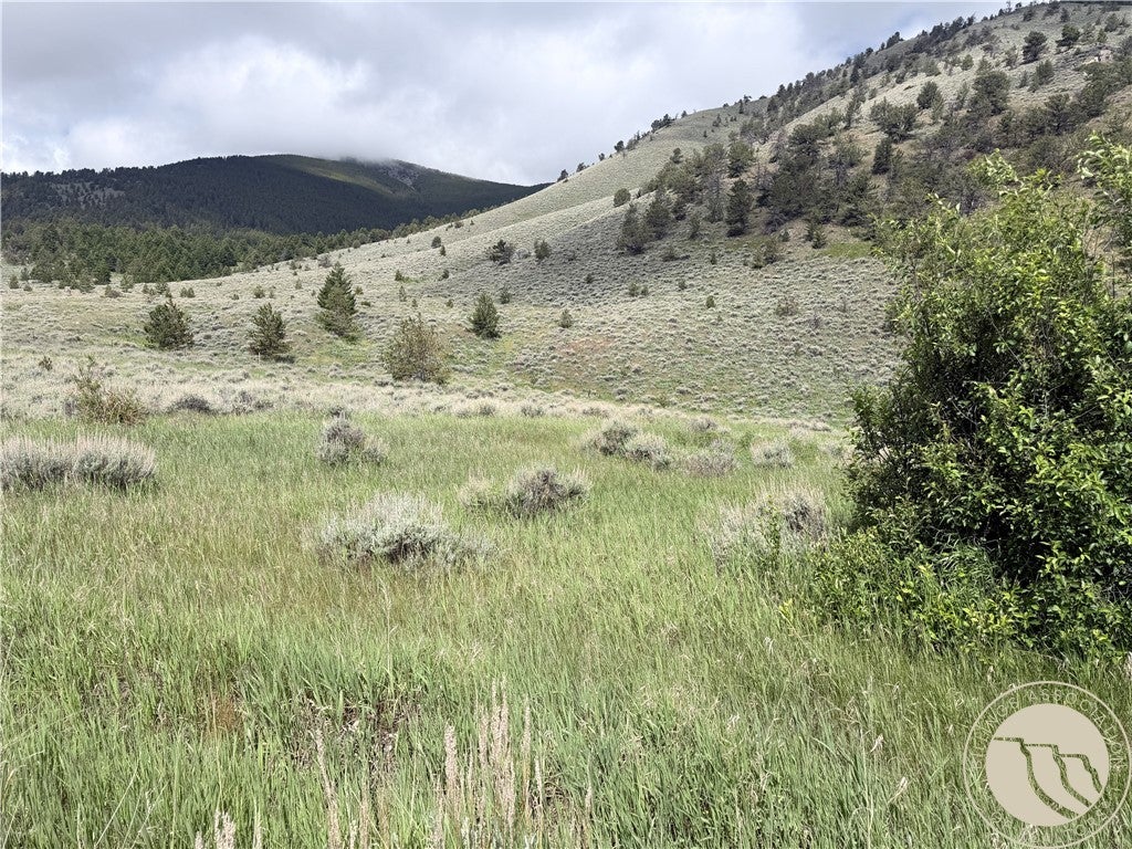 Photo of TR 3 S US Highway 212, Red Lodge, MT 59068 (MLS # 360189)