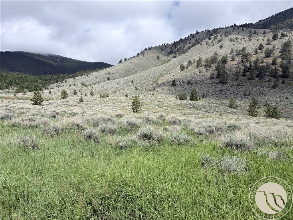 Photo of TR 3 S US Highway 212, Red Lodge, MT 59068 (MLS # 360189)