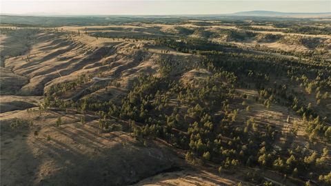 TBD Blue Rd Roundup MT 59073