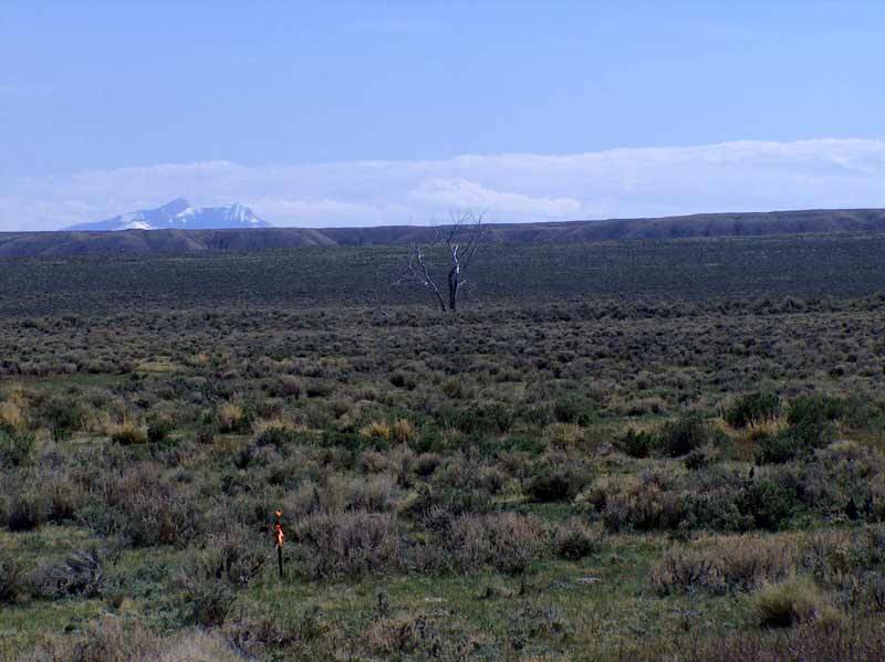 nhn Stagecoach Spur W