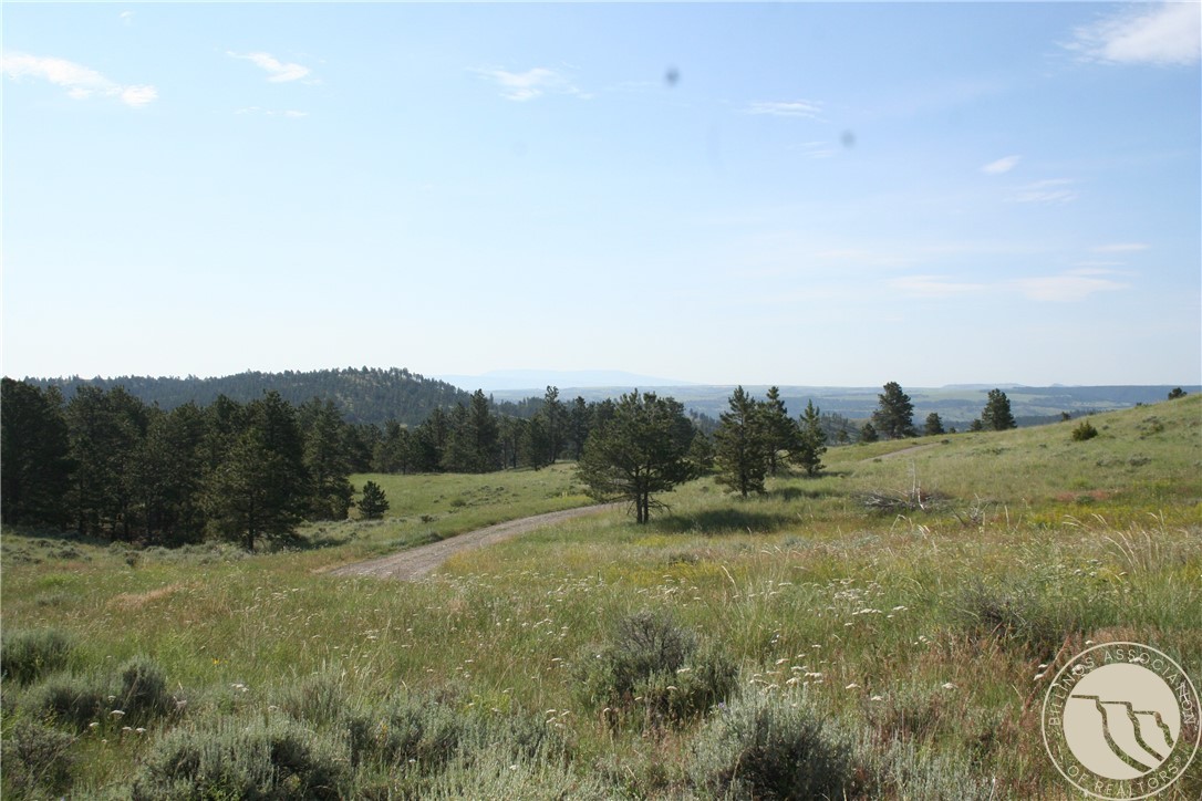 Lot 74 High Pines Bluff